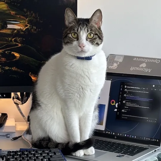 Image of my cat Seven